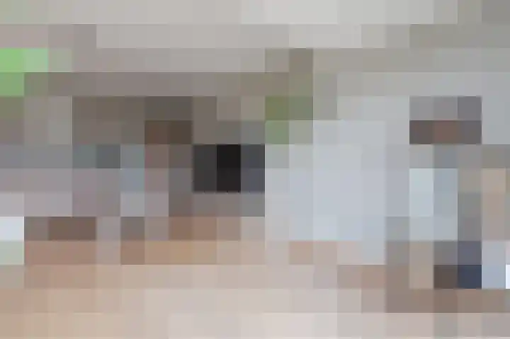 Ambachtslaan 17 Assendelft thumbnail 14