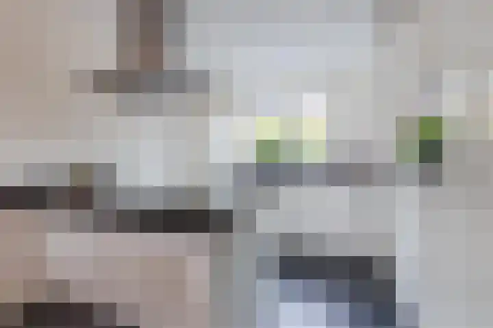 Ambachtslaan 17 Assendelft thumbnail 17