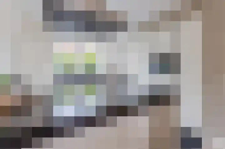 Ambachtslaan 17 Assendelft thumbnail 18