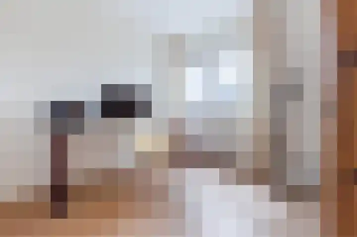 Ambachtslaan 17 Assendelft thumbnail 31