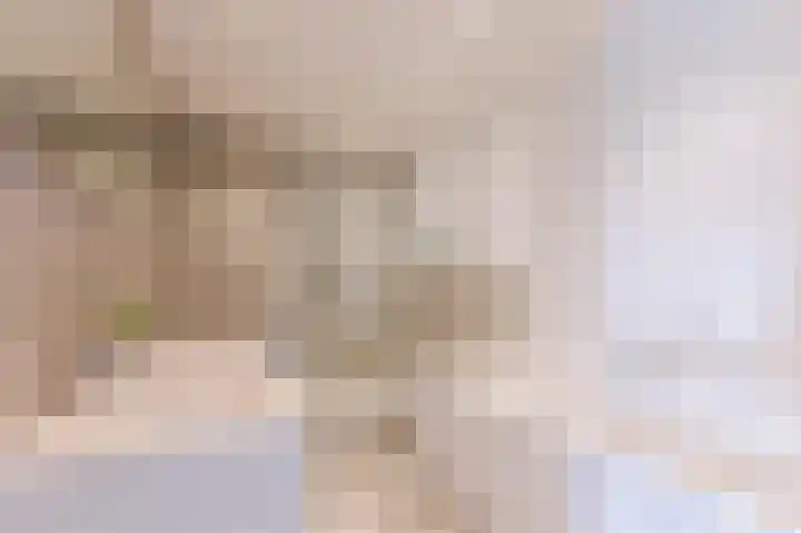 Ambachtslaan 17 Assendelft thumbnail 32