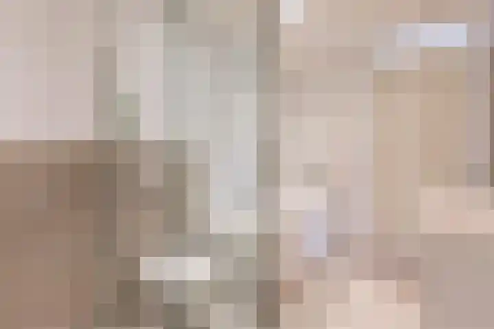 Ambachtslaan 17 Assendelft thumbnail 33