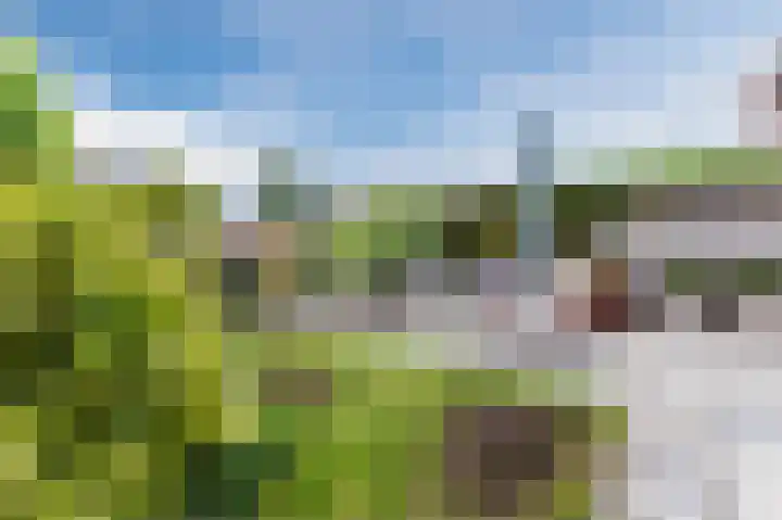 Ambachtslaan 17 Assendelft thumbnail 36