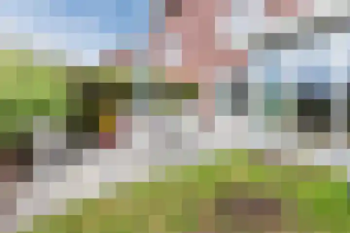 Ambachtslaan 17 Assendelft thumbnail 37