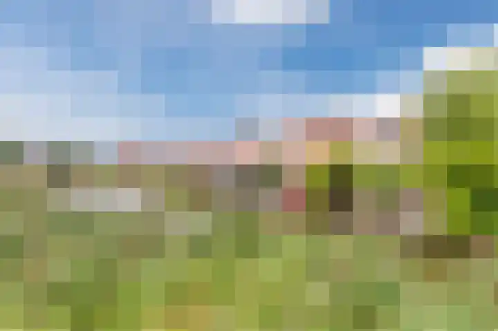 Ambachtslaan 17 Assendelft thumbnail 44
