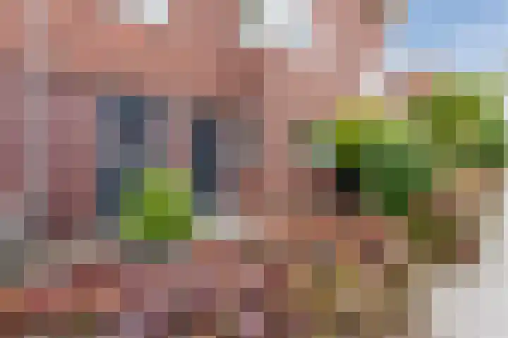 Ambachtslaan 17 Assendelft thumbnail 48