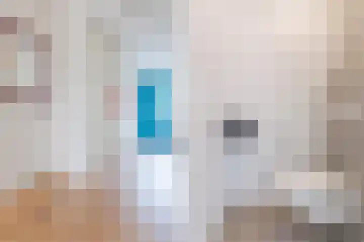 Ambachtslaan 17 Assendelft thumbnail 7