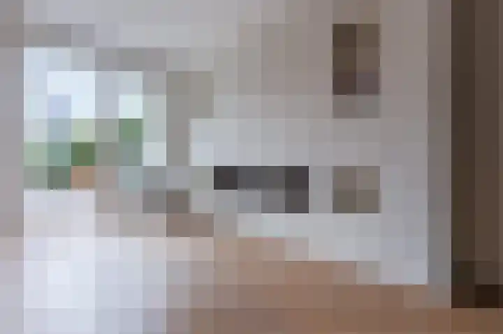 Ambachtslaan 17 Assendelft thumbnail 9