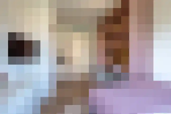 Ambachtslaan 37 Assendelft thumbnail 21