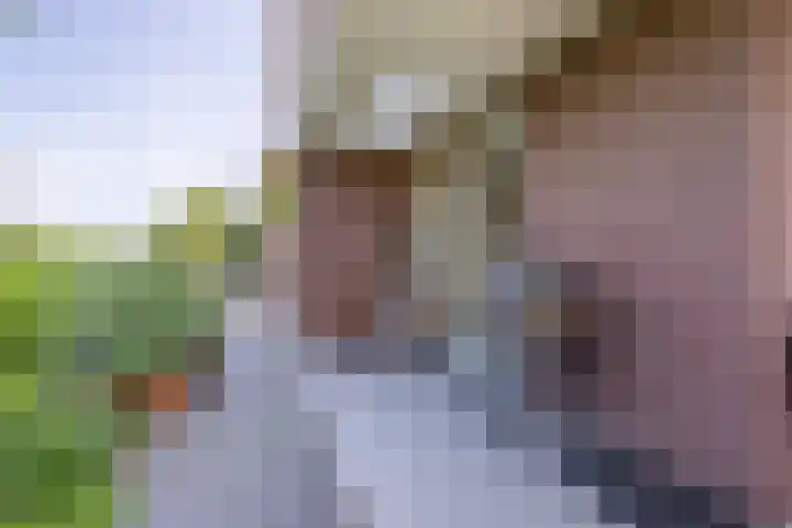 Ambachtslaan 37 Assendelft thumbnail 8