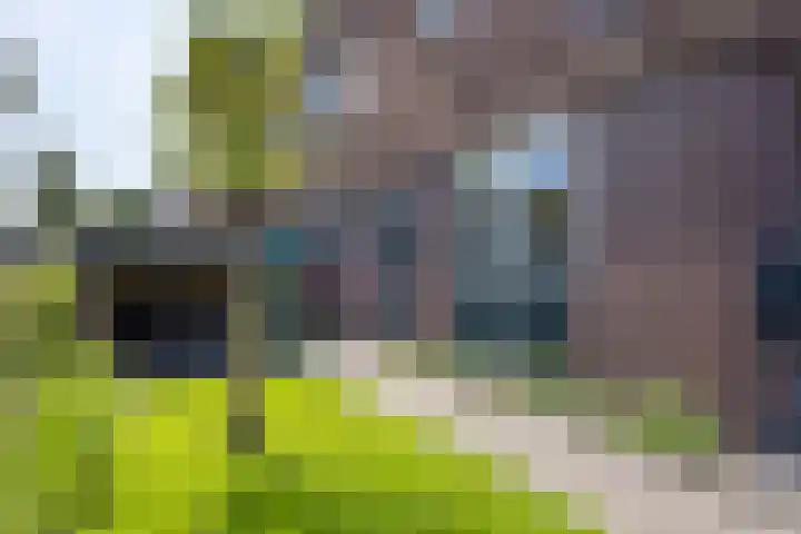 Ambachtslaan 37 Assendelft thumbnail 9