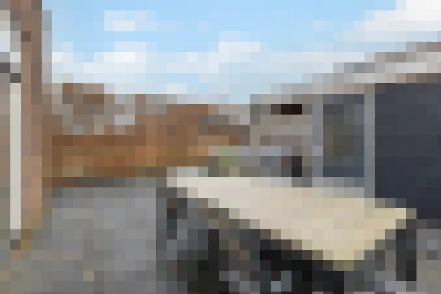 Ambachtslaan 42 Assendelft thumbnail 13