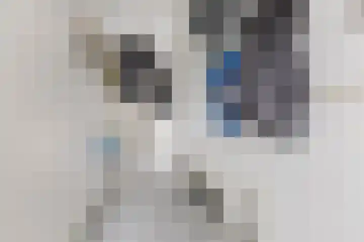 Ambachtslaan 42 Assendelft thumbnail 14