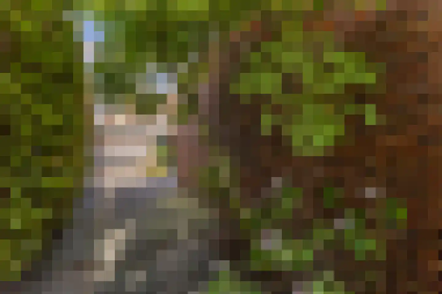 Ambachtslaan 42 Assendelft thumbnail 14