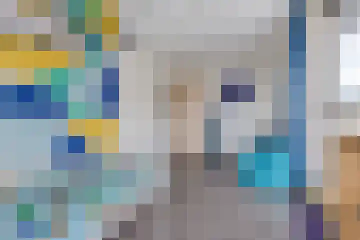 Ambachtslaan 42 Assendelft thumbnail 20