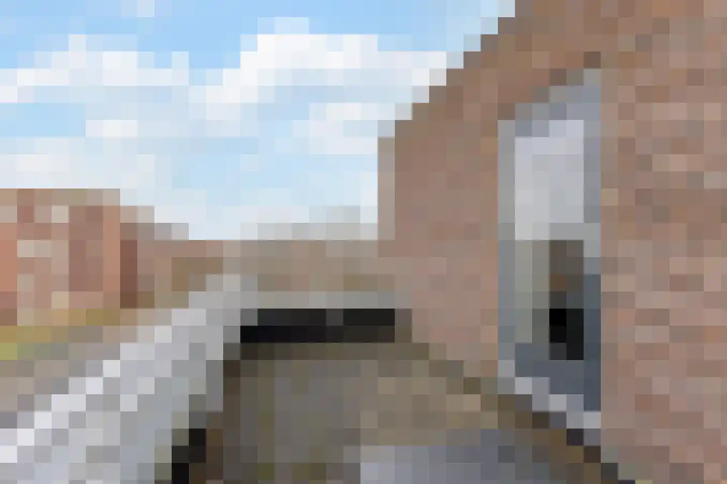 Ambachtslaan 42 Assendelft thumbnail 31