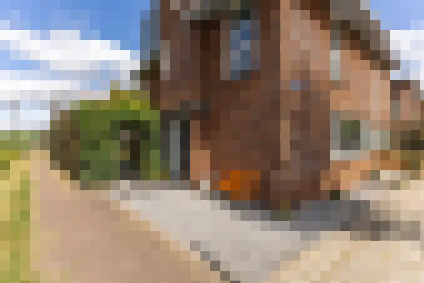 Ambachtslaan 42 Assendelft thumbnail 4