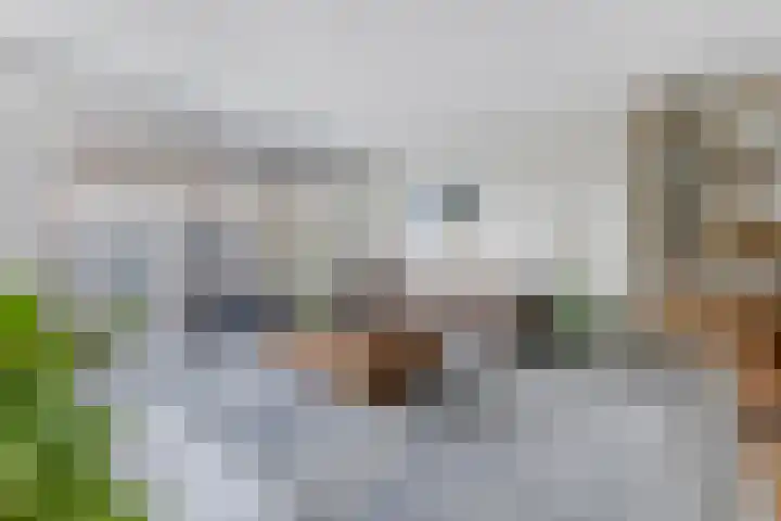 Ambachtslaan 42 Assendelft thumbnail 5