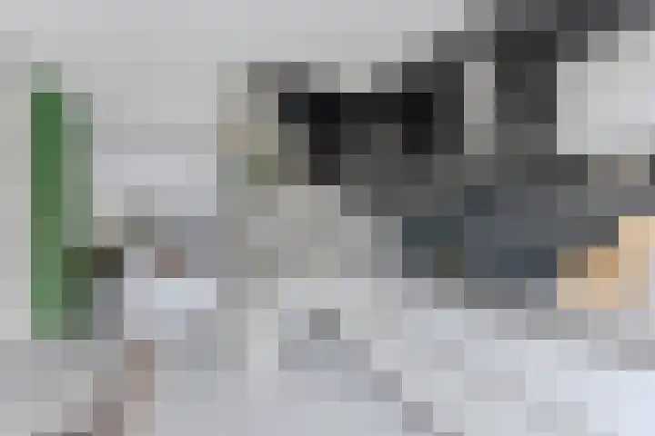 Ambachtslaan 42 Assendelft thumbnail 7