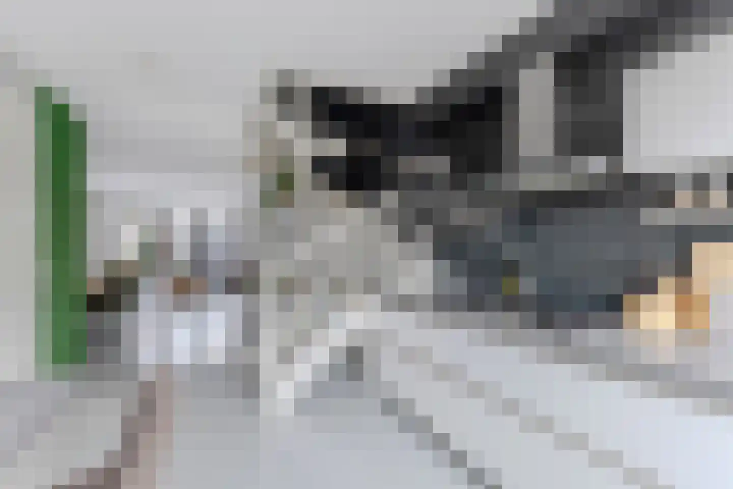 Ambachtslaan 42 Assendelft thumbnail 8