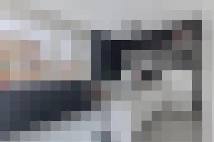 Ambachtslaan 42 Assendelft thumbnail 9