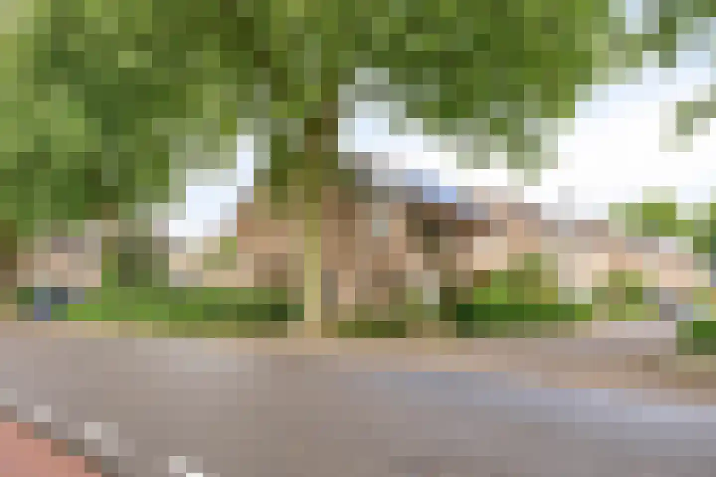 Ambachtslaan 45 Veldhoven thumbnail 30