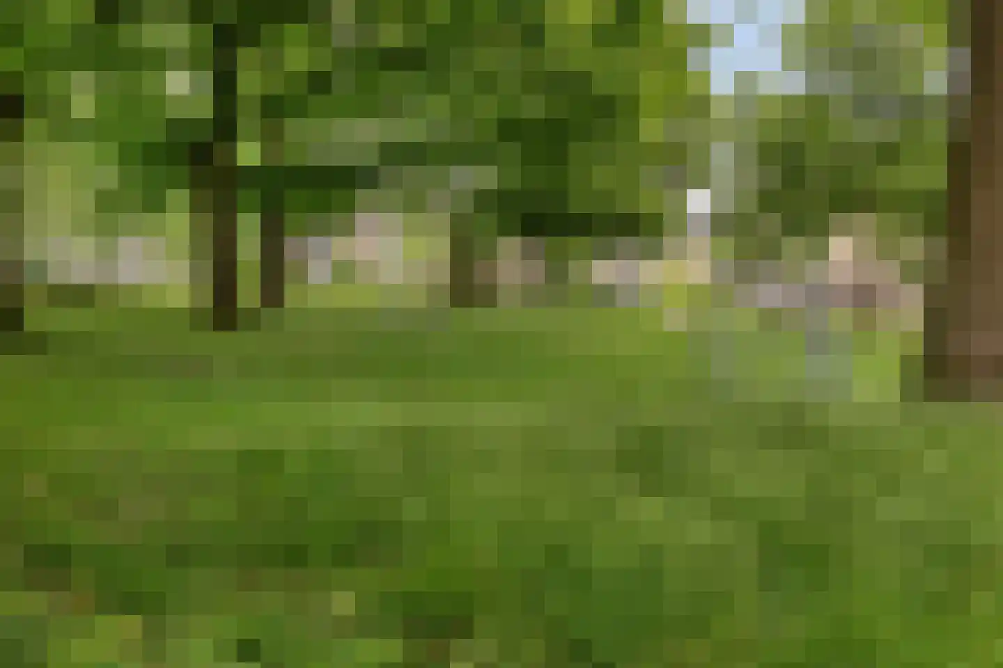 Ambachtslaan 45 Veldhoven thumbnail 33