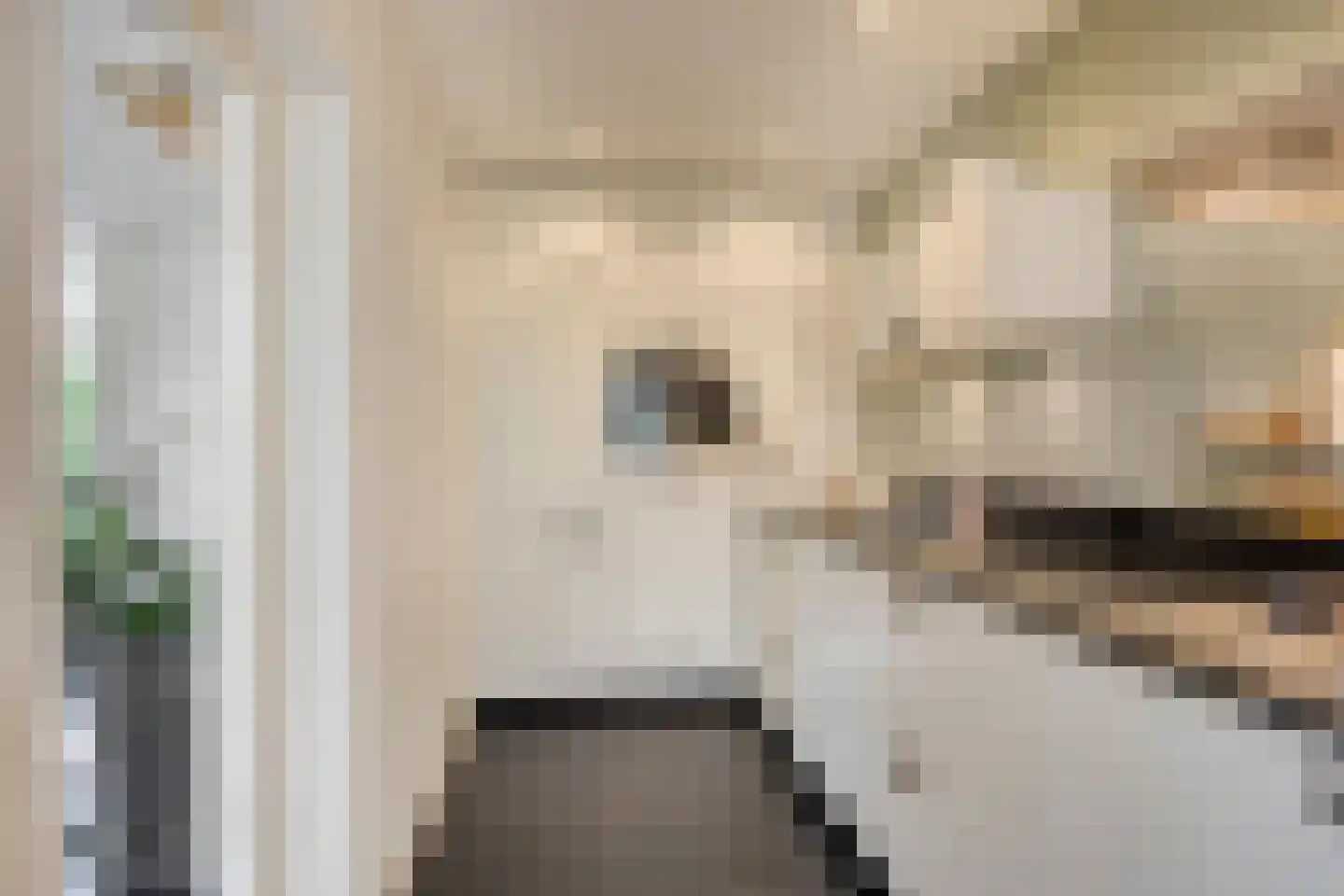 Ambachtslaan 45 Veldhoven thumbnail 8