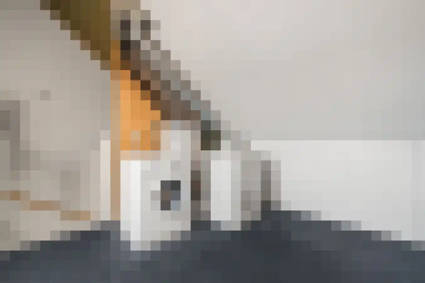 Ambachtslaan 60 Assendelft thumbnail 31