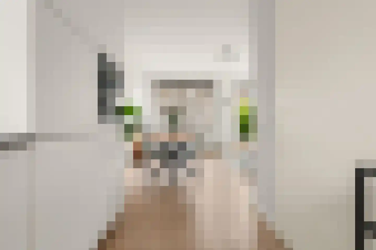 Ambachtslaan 60 Assendelft thumbnail 8