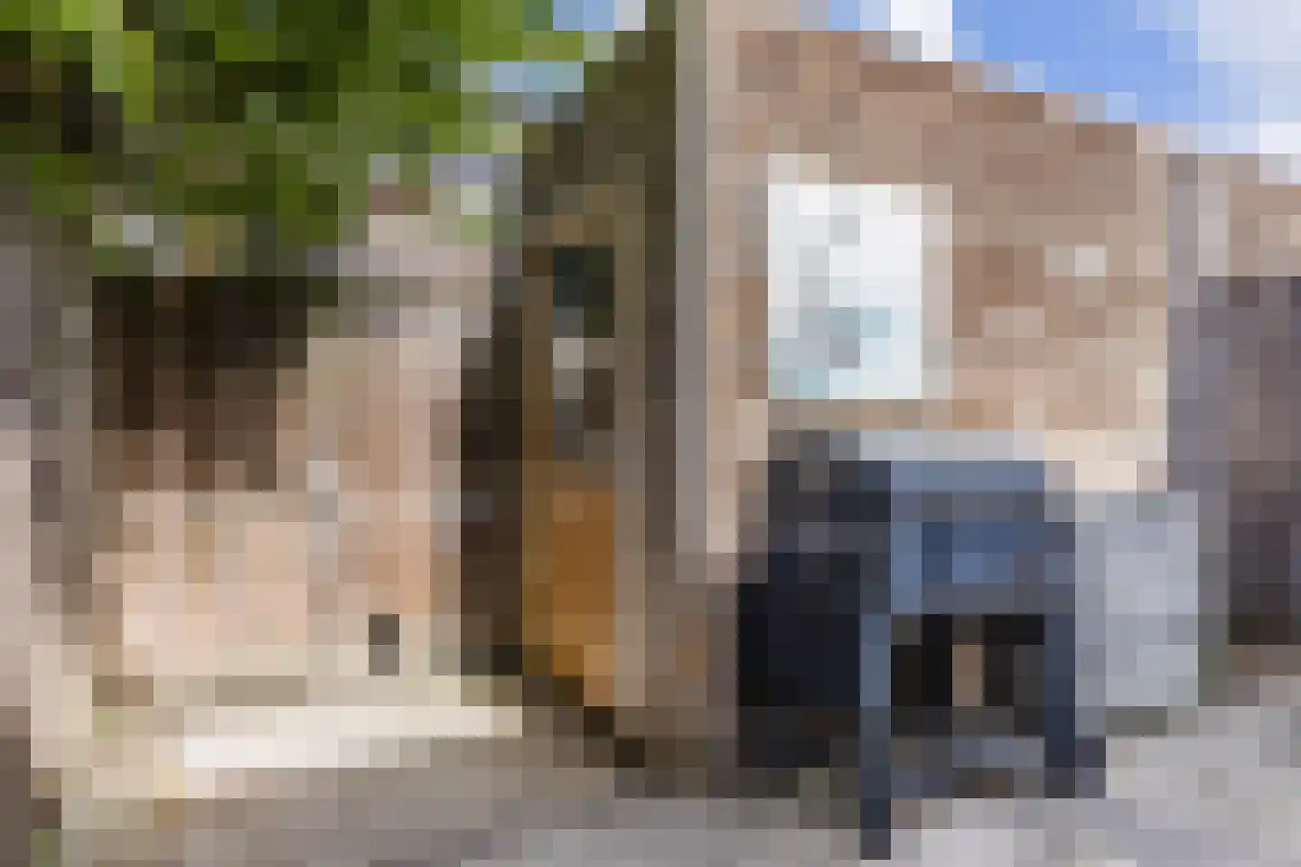 Ambachtslaan 62 Assendelft thumbnail 28