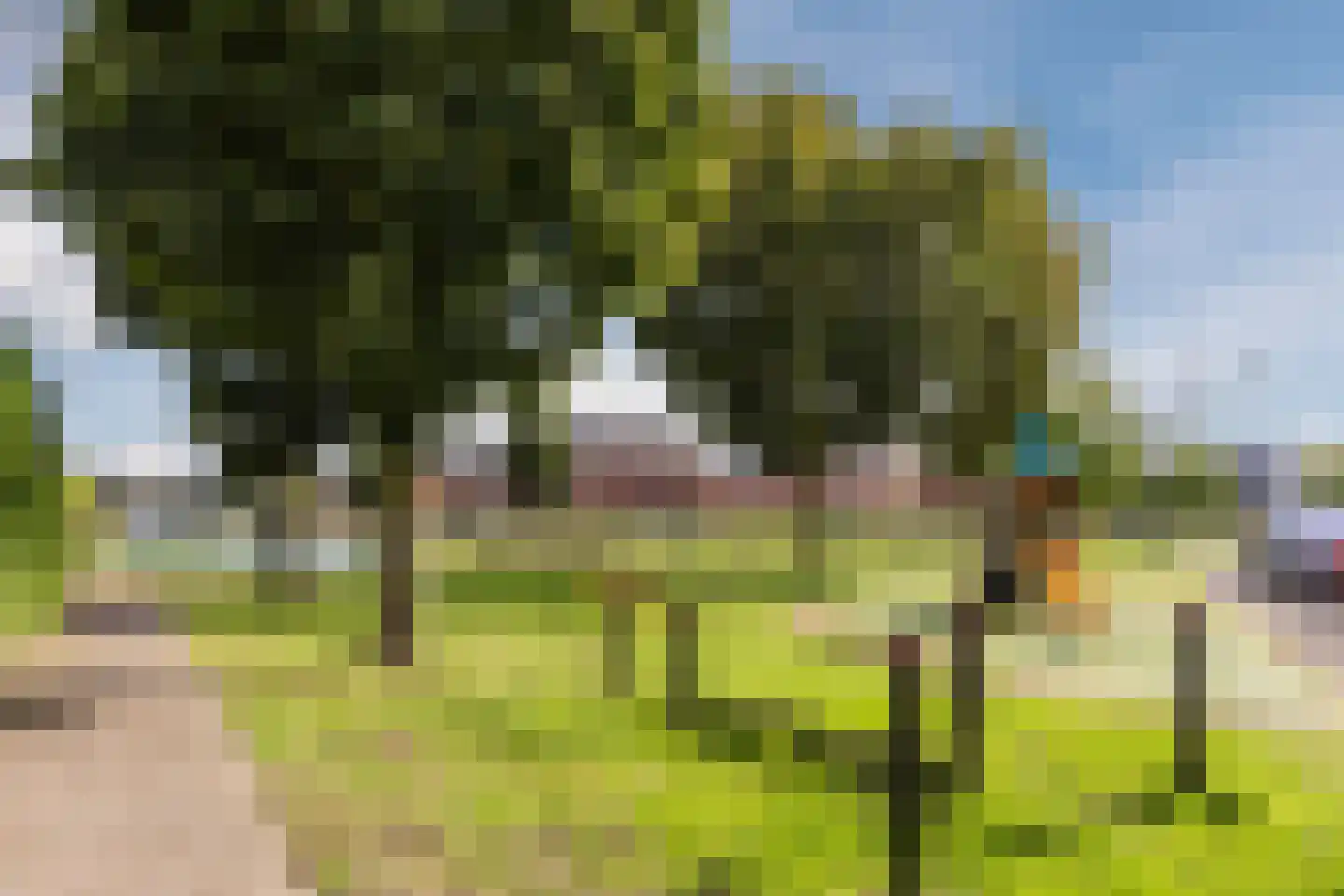 Ambachtslaan 62 Assendelft thumbnail 30