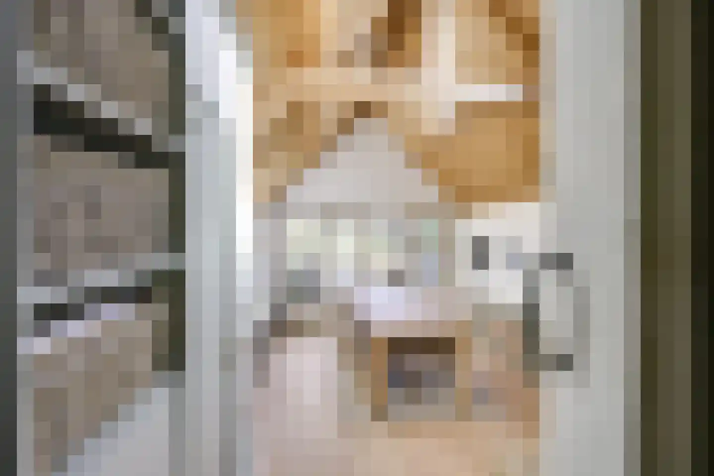 Ambachtspad 18 Cothen thumbnail 19