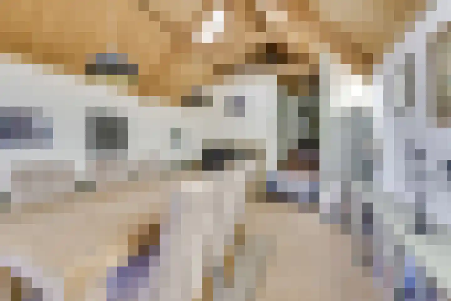 Ambachtspad 18 Cothen thumbnail 22