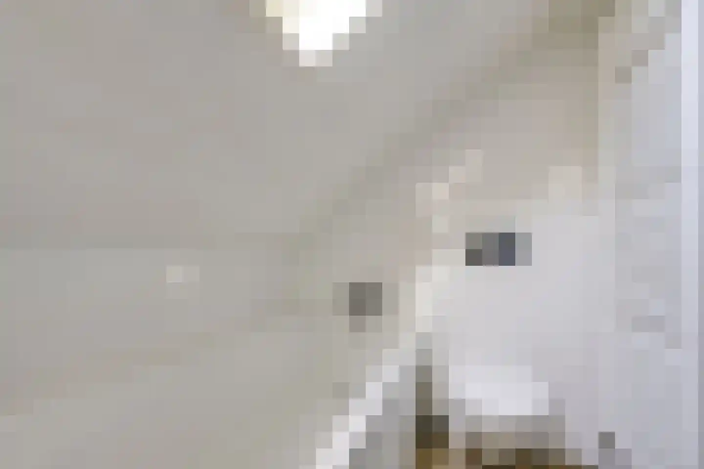 Ambachtspad 18 Cothen thumbnail 48