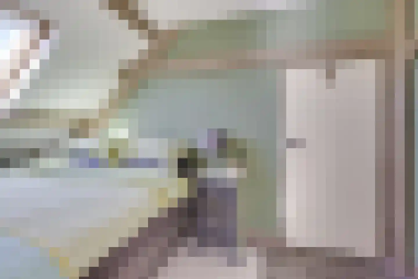 Ambachtspad 18 Cothen thumbnail 52