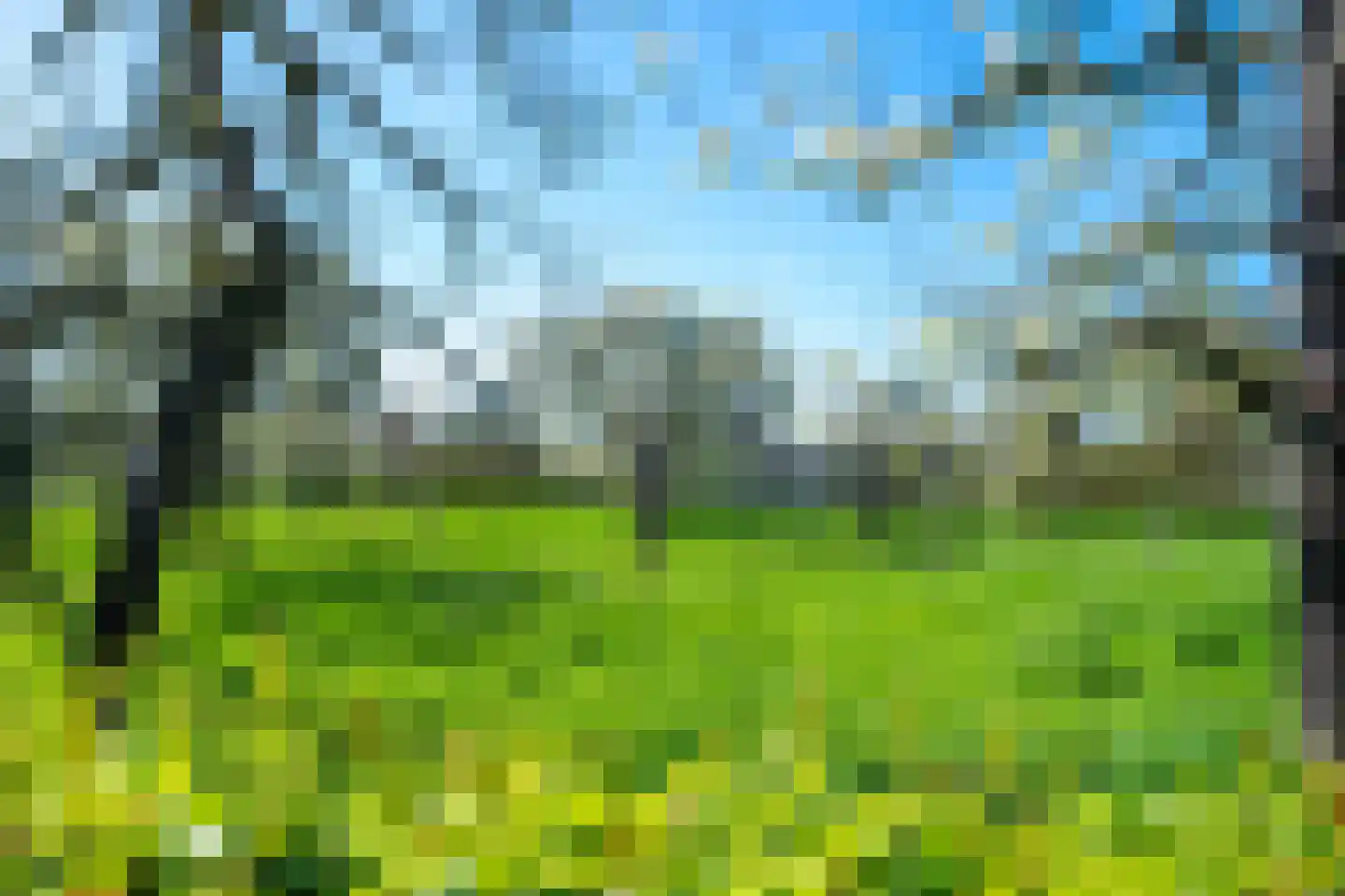 Ambachtspad 18 Cothen thumbnail 62