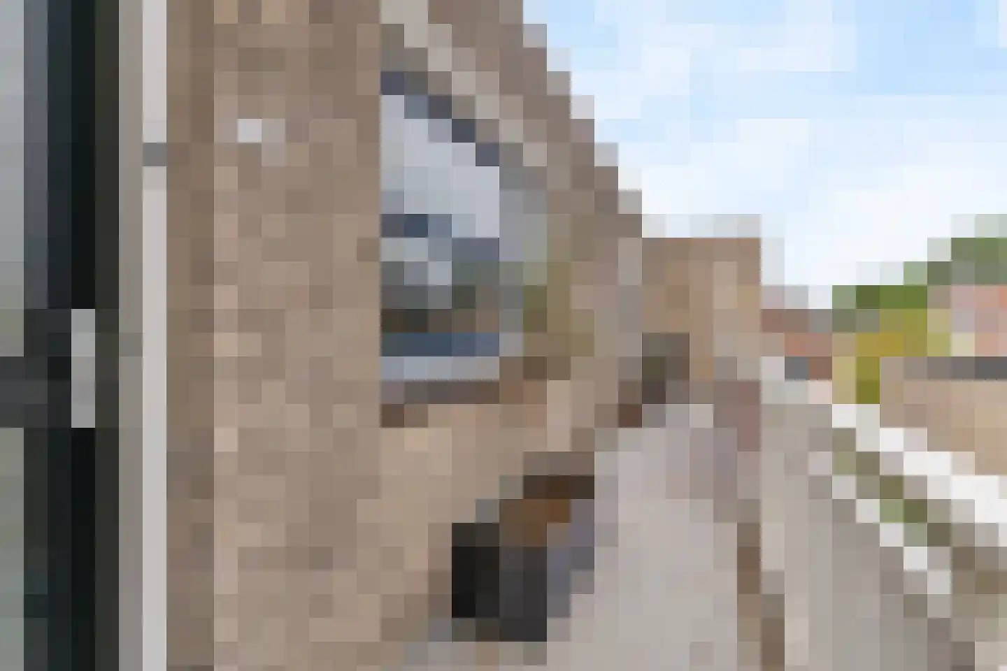 Ambachtsplein 197 Rotterdam thumbnail 7