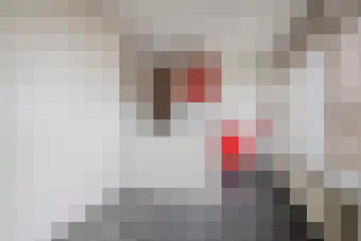 Ambachtsplein 83 Rotterdam thumbnail 20