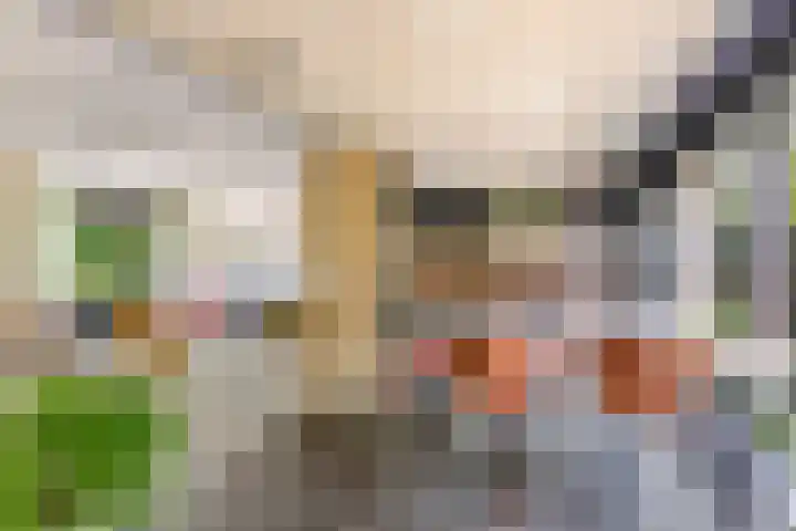 Ambachtsring 15 Bunnik thumbnail 13