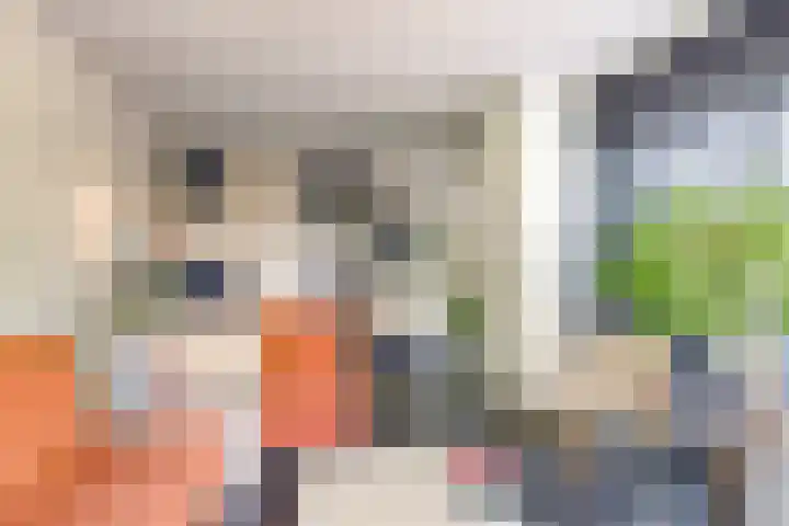 Ambachtsring 15 Bunnik thumbnail 19