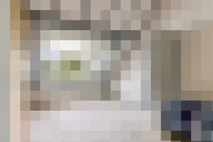 Ambachtsring 15 Bunnik thumbnail 29