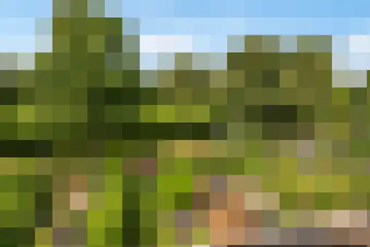 Ambachtsring 15 Bunnik thumbnail 32