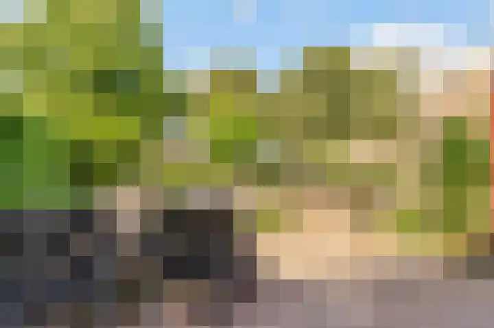 Ambachtsring 15 Bunnik thumbnail 33