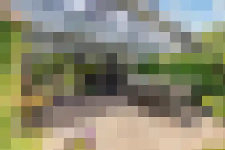 Ambachtsring 15 Bunnik thumbnail 34