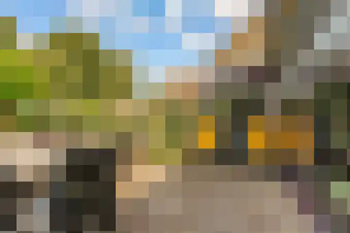 Ambachtsring 15 Bunnik thumbnail 35