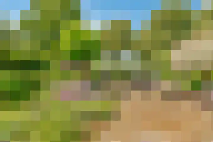 Ambachtsring 15 Bunnik thumbnail 36