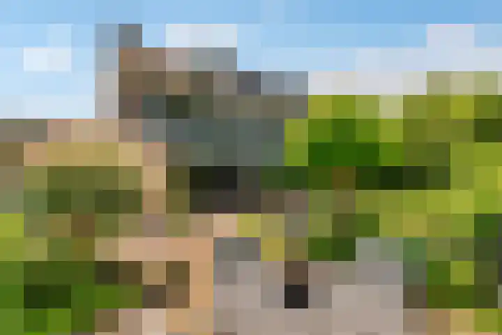 Ambachtsring 15 Bunnik thumbnail 37