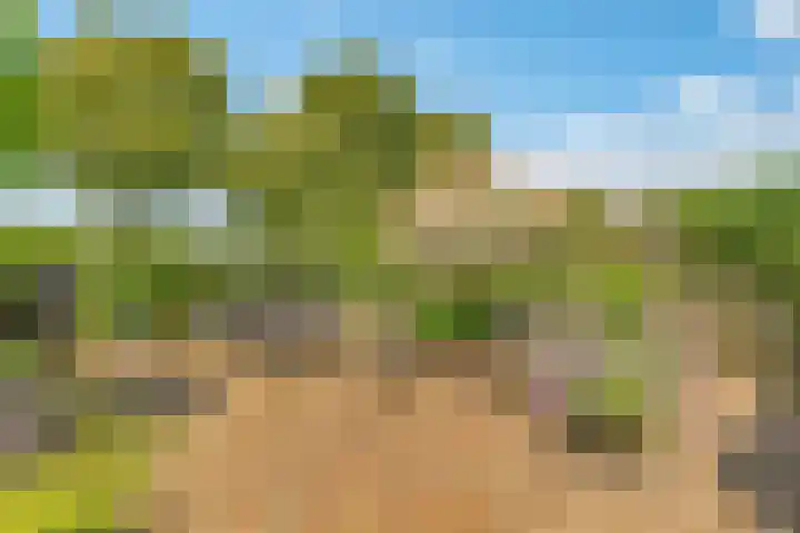 Ambachtsring 15 Bunnik thumbnail 38