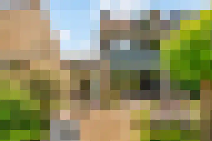 Ambachtsring 15 Bunnik thumbnail 39